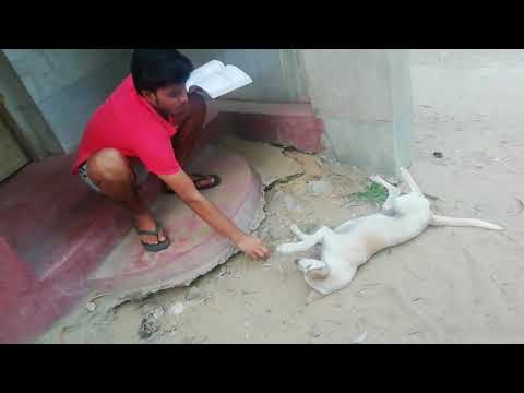 John is reading the book.