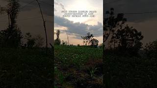 Download lagu instrumen gelandangan cak Sodiq Monata - sound viral di tiktok mp3