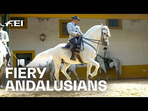 , title : 'Something for the bucket list: The 👑 Andalusian School of Equestrian Art |RIDE presented by Longines'