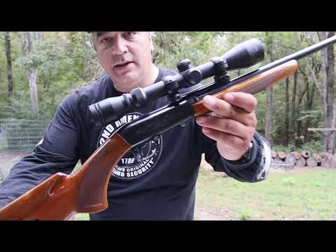 Reviewing the Browning SA22