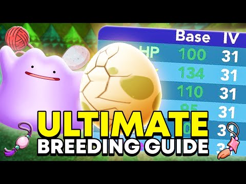 The ULTIMATE Pokemon Brick Bronze Breeding Guide