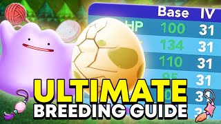 The ULTIMATE Pokemon Brick Bronze Breeding Guide