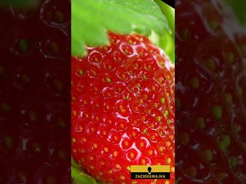 Kiedy dowiadujesz się, ile kalorii mają truskawki?