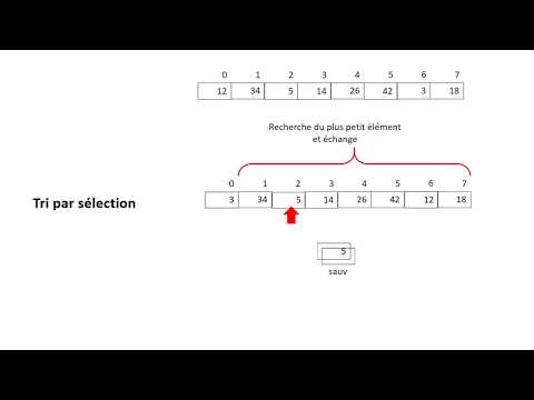 Bases de la programmation n°1 procédural premier exemple