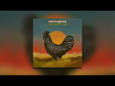 I Came Back To You To Say Goodbye - David Quinn