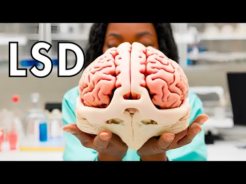 LSD and the Brain: A Psychedelic Journey
