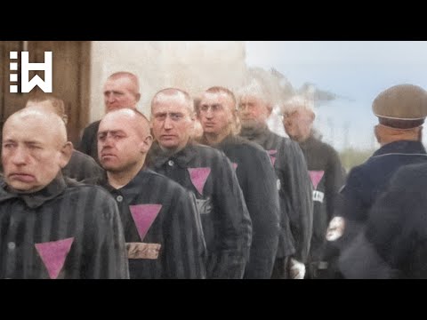 Torture of Gay Men & Transgender People under Nazi Regime - Nazi Germany