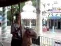 Great Adventure 2006 8th Grade Trip Merry Go Round