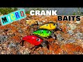 Video Thumbnail for Do Cheap Micro Crank Baits Actually Catch Fish? Multi Species TEST
