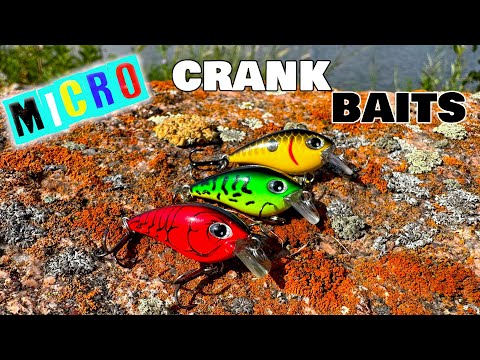 Do Cheap Micro Crank Baits Actually Catch Fish? Multi Species TEST