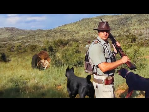 This Is Why Royals Honour These Dogs