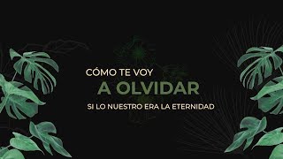 Carmen María - Cómo Te Voy A Olvidar  (Lyric Video)