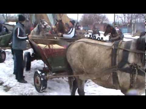 boboteaza in vultureni 2.MPG