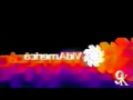 I Accidentally VidAmerica