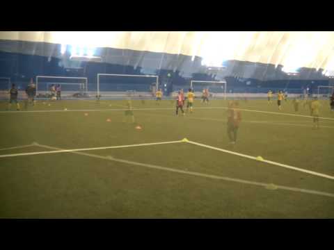 Ilves 03 Keltainen - Tervarit-j Imatra 2013