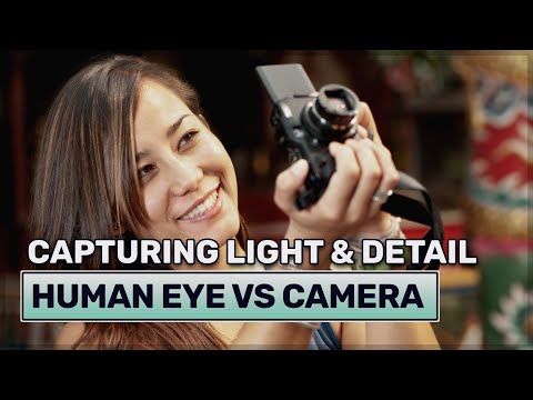 Eye Opening Truth About Human Eye vs Camera