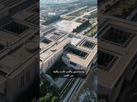 فيديو | الكشف عن دور الإمارات في تهريب ثروات الأسد