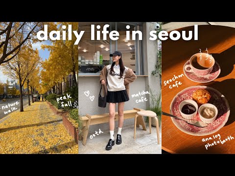 seoul vlog 🍂 fall foliage, shopping, nature walk, skincare holy grails, lots of cooking