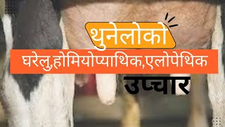 देखिने नदेखिने थुनेलो को घरेलु होमियोप्याथिक र एलोपेथिक उप्चार बिधि !!!