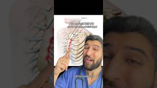 Download lagu What is that Random Stabbing “Heart” Pain? #health mp3 Download lagu What is that Random Stabbing “Heart” Pain? #health mp3