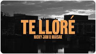Te Lloré Lyrics English Translation