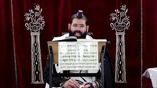 מנחות דף ב' ע"ב ¤ הרב נתנאל אברז'ל ¤ בית הכנסת "בית מרדכי" (מוסדות תורת דוד) - התמונה מוצגת ישירות מתוך אתר האינטרנט יוטיוב. זכויות היוצרים בתמונה שייכות ליוצרה. קישור קרדיט למקור התוכן נמצא בתוך דף הסרטון