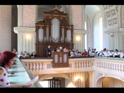 Oslavuj Pána ES 355