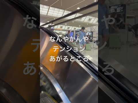 経営学科 成田空港からの海外旅行