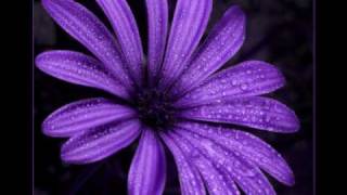 Jaguares - Fin   letra