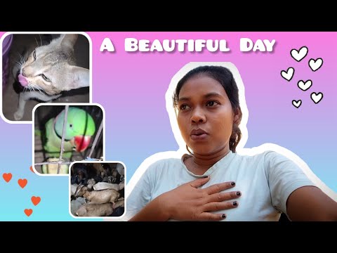 A Beautiful Day With Beautiful persons #gaon ka life #beautiful nature #nilima baa vlogs