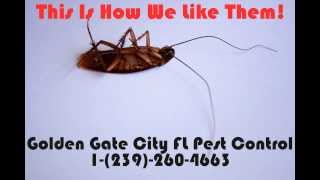 preview picture of video 'Golden Gate City FL Pest Control  |  1-(239)-260-4663'