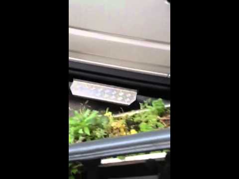 Tony Marony heiratet Melanie Meier