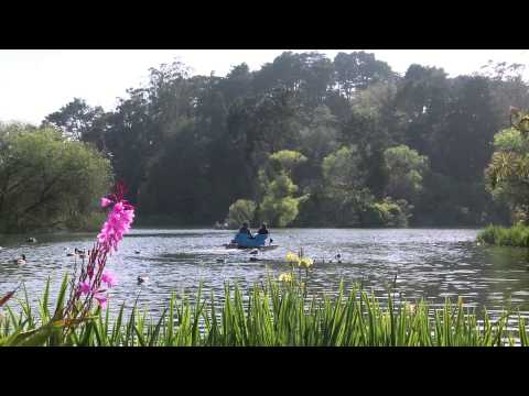 Zülfikar Özer sarkisi (Cok seviyorum 2013)