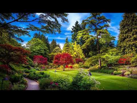 Iosif Câmpean - O zi Isus a pregătit  (LIVE)