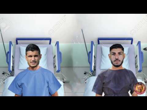 Tuia posseduto da Schiavi