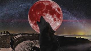 El Diablo de Culiacan la pelicula teaser