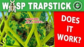 GOT WASPS? Try the Rescue WASP TRAPSTRICK – Does it work? Spoilers, YES IT DOES! – DIYBRY