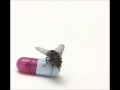 Red Hot Chili Peppers HQ-Goodbye Hooray
