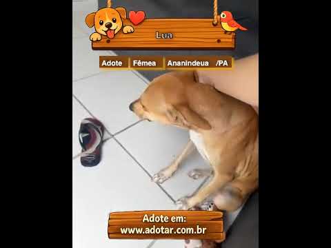 Vídeo de Lua