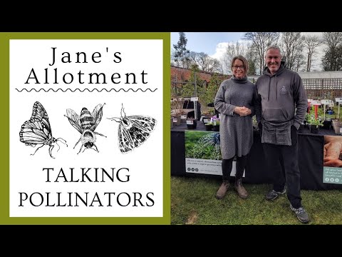TALKING POLLINATORS - with a man who knows!