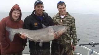 preview picture of video '51 POUND SANTEE COOPER CATFISH CAUGHT 2-14-09 WITH JACKSON'S GUIDE SERVICE ON SANTEE COOPER'