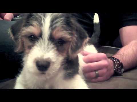 Stefabar- Vloguary Day 14: Secrets Don't Make Friends!!!! || 1.14.12 ||