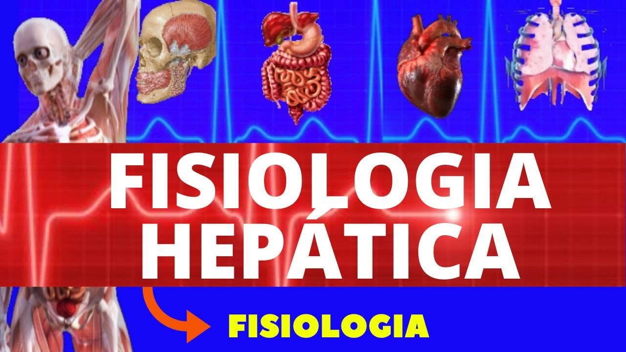 FISIOLOGIA HEPÁTICA (FISIOLOGIA DE GUYTON) FISIOLOGIA HUMANA - FISIOLOGIA HEPÁTICA E VESÍCULA BILIAR