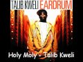 Talib Kweli - Holy Moly