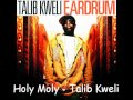Talib Kweli - Holy Moly 