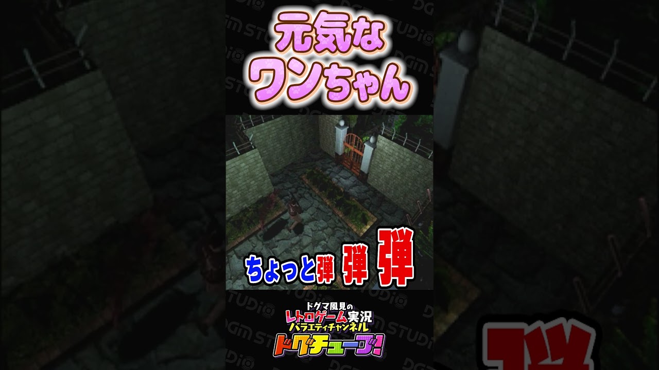 元気なワンちゃん #shorts #ドグチューブ