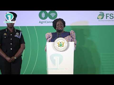 Africa Spends Over $50B on Food Imports — Naana Jane Calls for Local Rice Boost