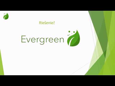 Živé IT 2020 - Evergreen (1. miesto)
