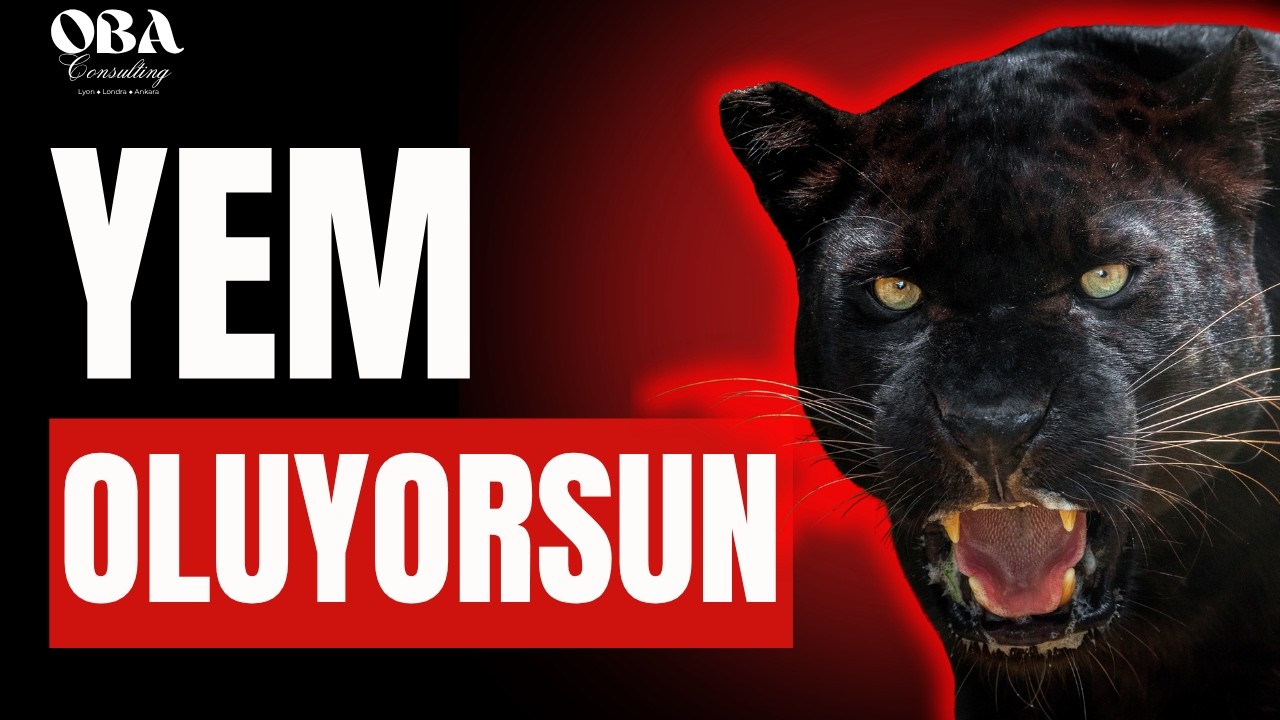 Neden Hafife Alınıyorsun? 5 Kadim İlke