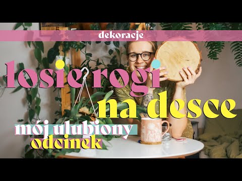 🦌🥐 Łosie rogi na desce - uprawa bez podłoża 🌿